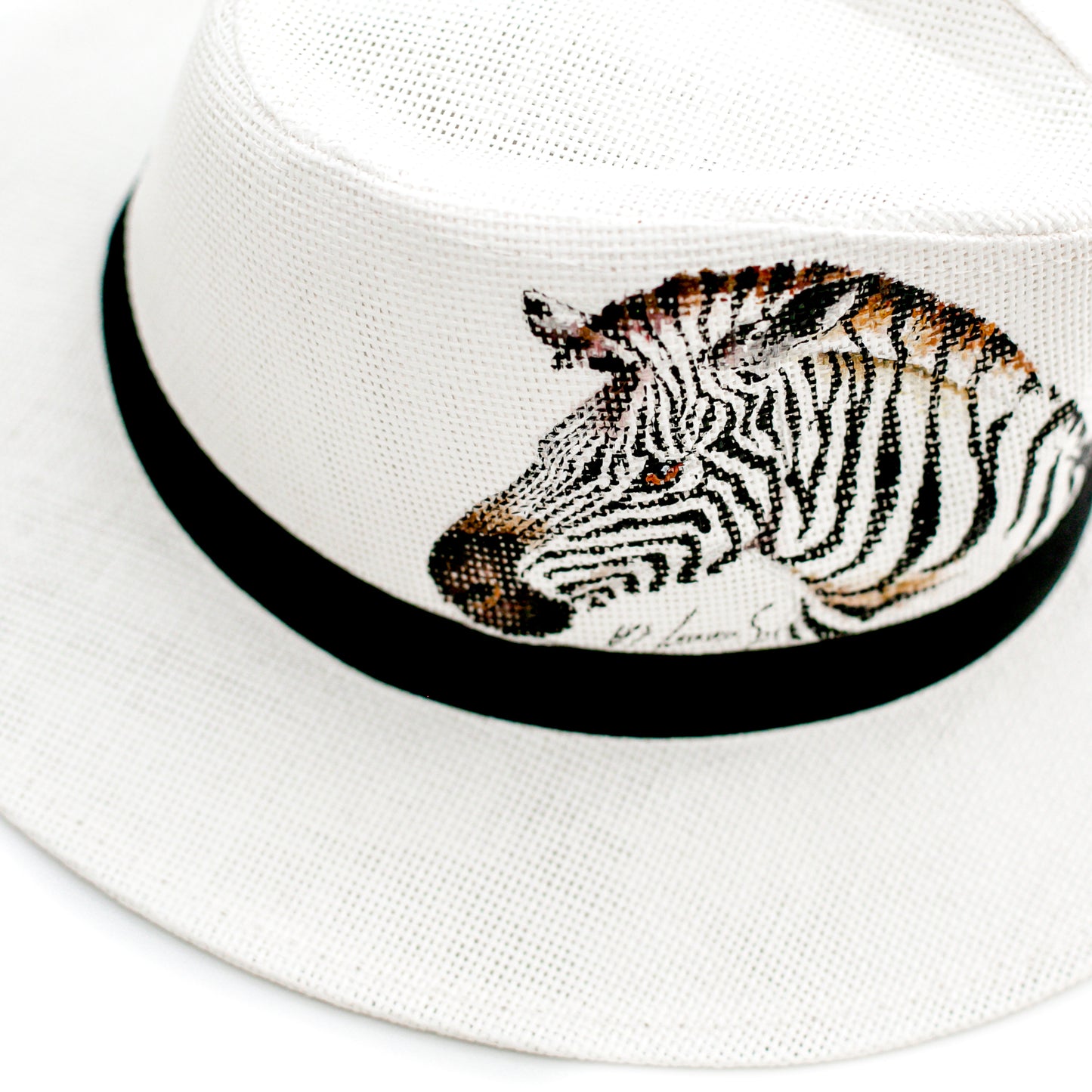 Zebra Hat